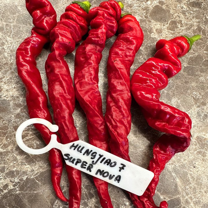 HANGJIAO 7 SUPER NOVA