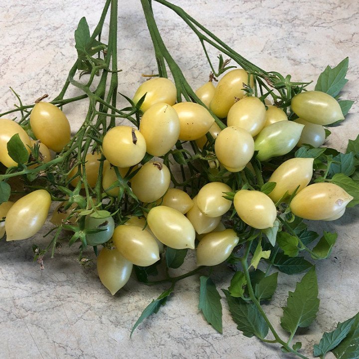 BARRY’S CRAZY CHERRY