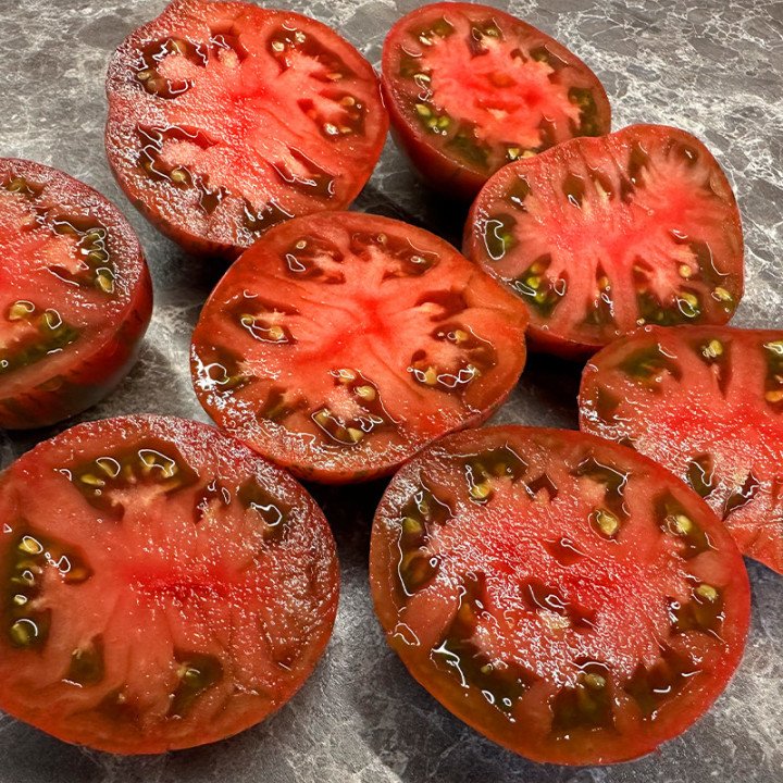 BERKELEY TIE DAY PINK