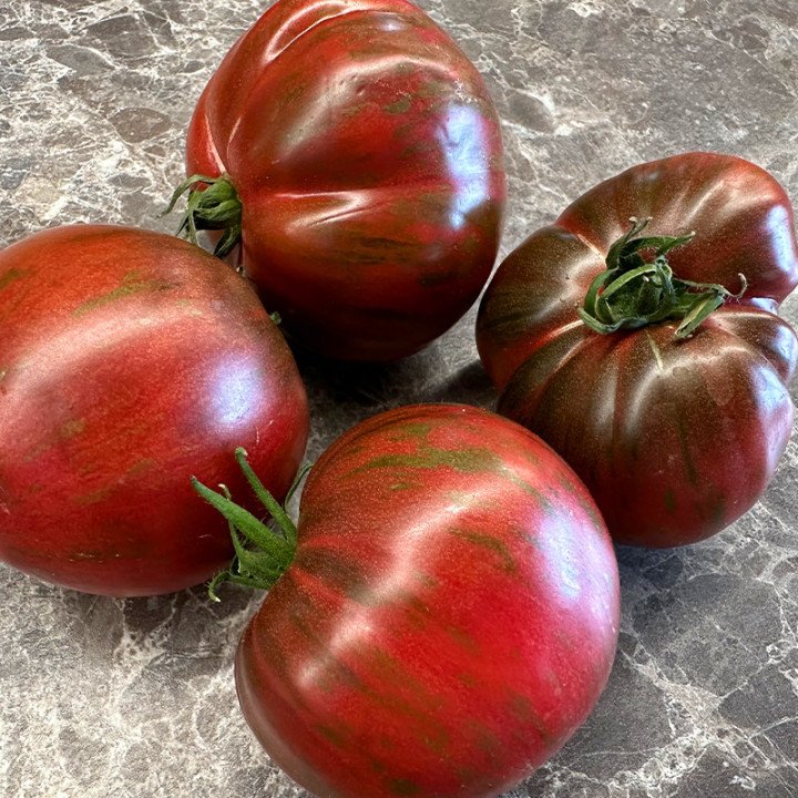 BERKELEY TIE DAY PINK