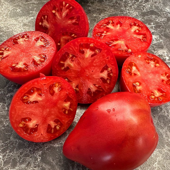 HIDDEN TREASURES OF A TIMELESS