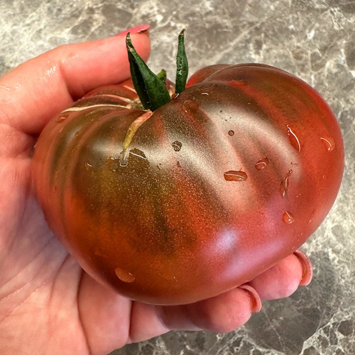 BLACK SEA MAN  (ČERNOMOR)