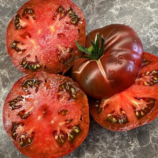 BLACK SEA MAN  (ČERNOMOR)