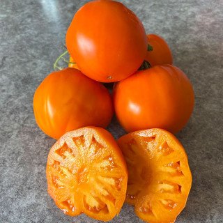 CRESTA DI ORO (ZOLOTOJ GREBENJ)