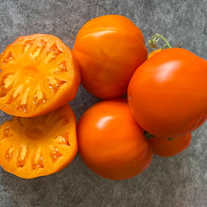 CRESTA DI ORO (ZOLOTOJ GREBENJ)