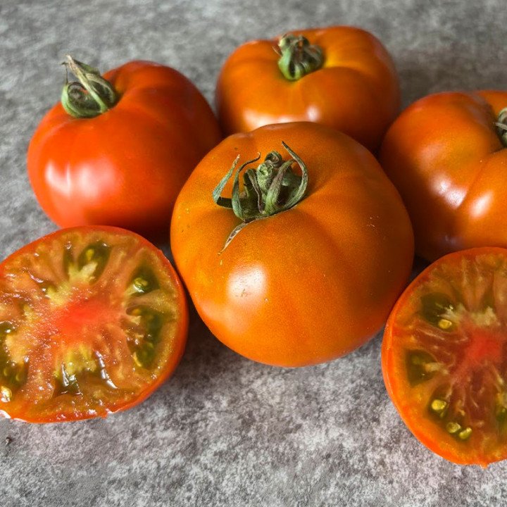 THORNBURN's TERRA COTTA