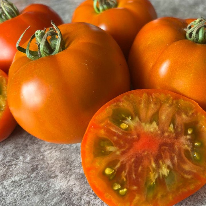 THORNBURN's TERRA COTTA