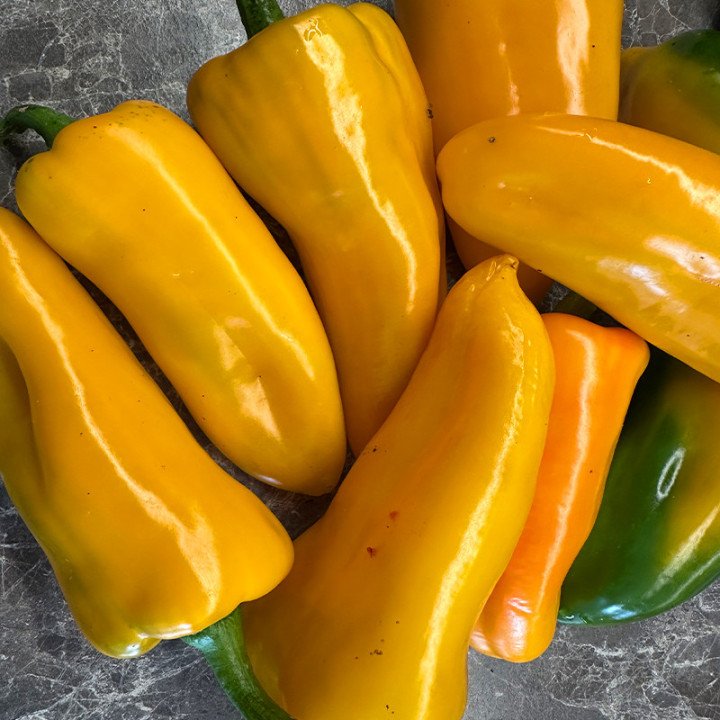 CORNO DI TORO GIALLO