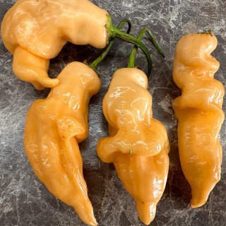 SUGAR RUSH PEACH PEPPER